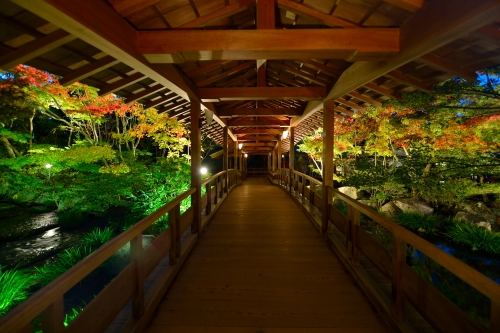 姫路城西御屋敷跡庭園「好古園」